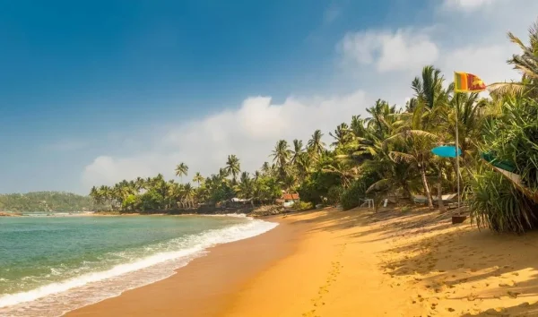 Sri Lanka Motorcycle Tour 2026 – The Grand Ceylon Loop