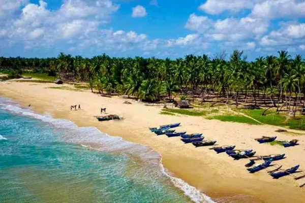 Day 05: Nuwara Eliya → Yala