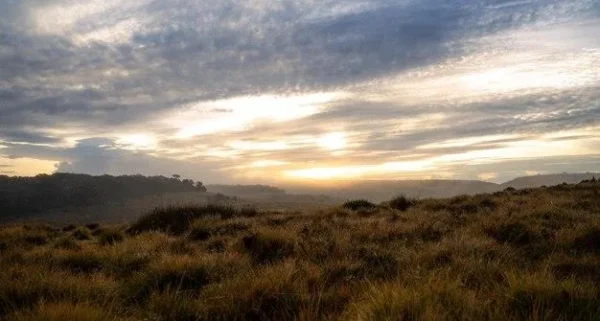 Day 07: Mirissa → Sinharaja